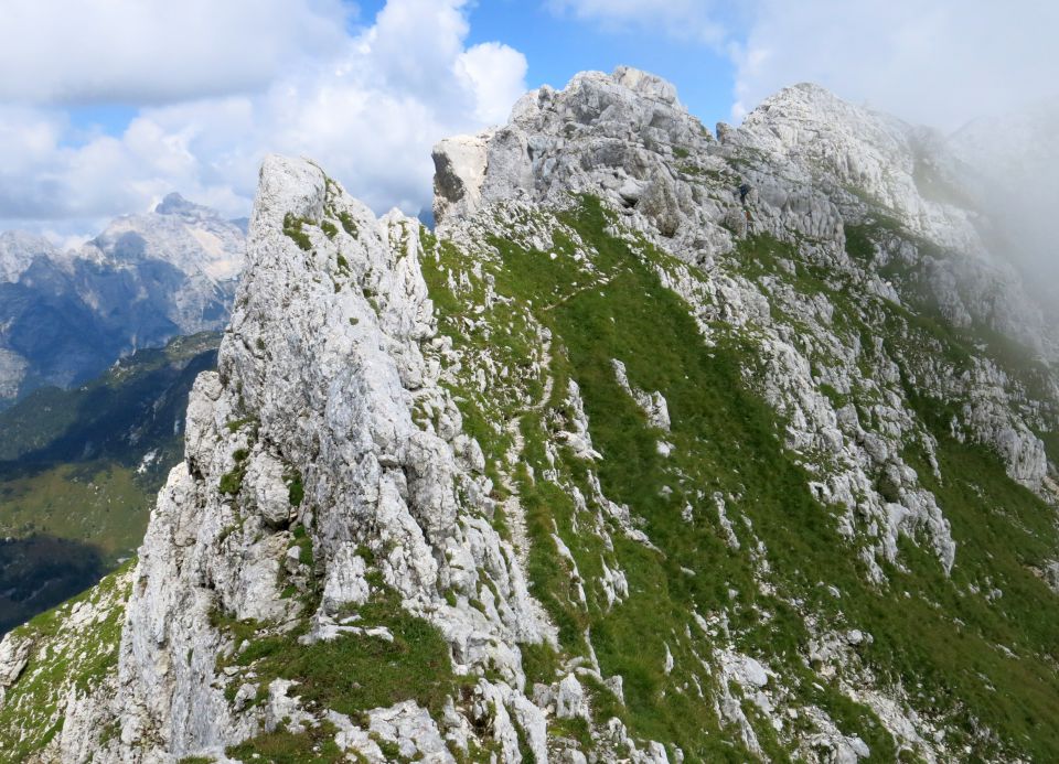 Lepošpič., m.Tič.,Rušnata g.,Blato 5.08.15 - foto povečava