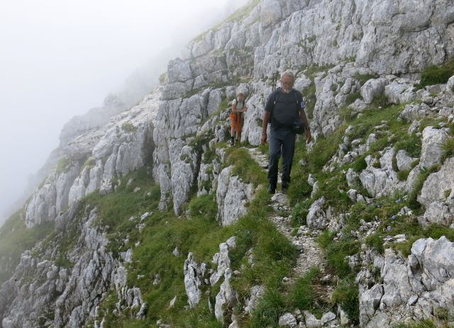 Lepošpič., m.Tič.,Rušnata g.,Blato 5.08.15 - foto