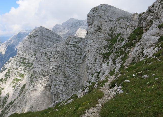 Lepošpič., m.Tič.,Rušnata g.,Blato 5.08.15 - foto