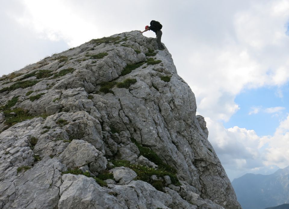 Lepošpič., m.Tič.,Rušnata g.,Blato 5.08.15 - foto povečava