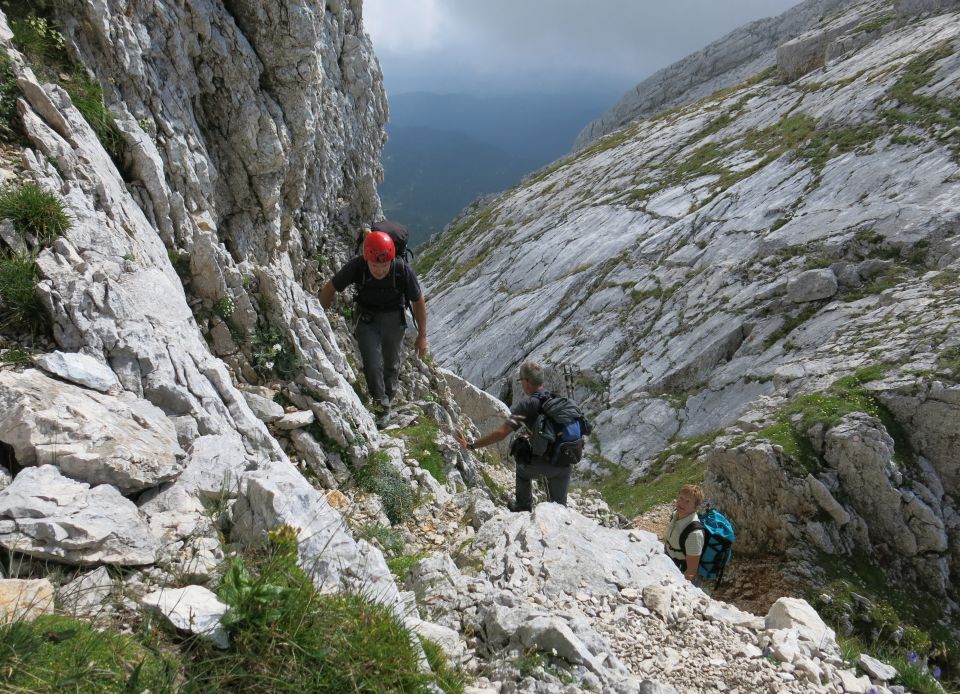 Lepošpič., m.Tič.,Rušnata g.,Blato 5.08.15 - foto povečava