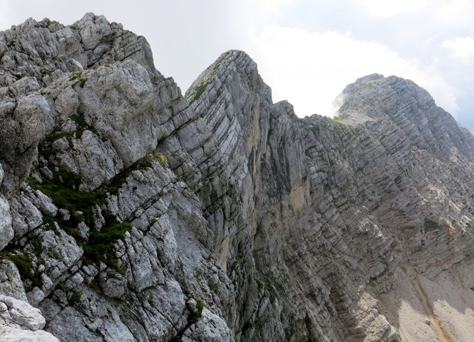 Lepošpič., m.Tič.,Rušnata g.,Blato 5.08.15 - foto povečava