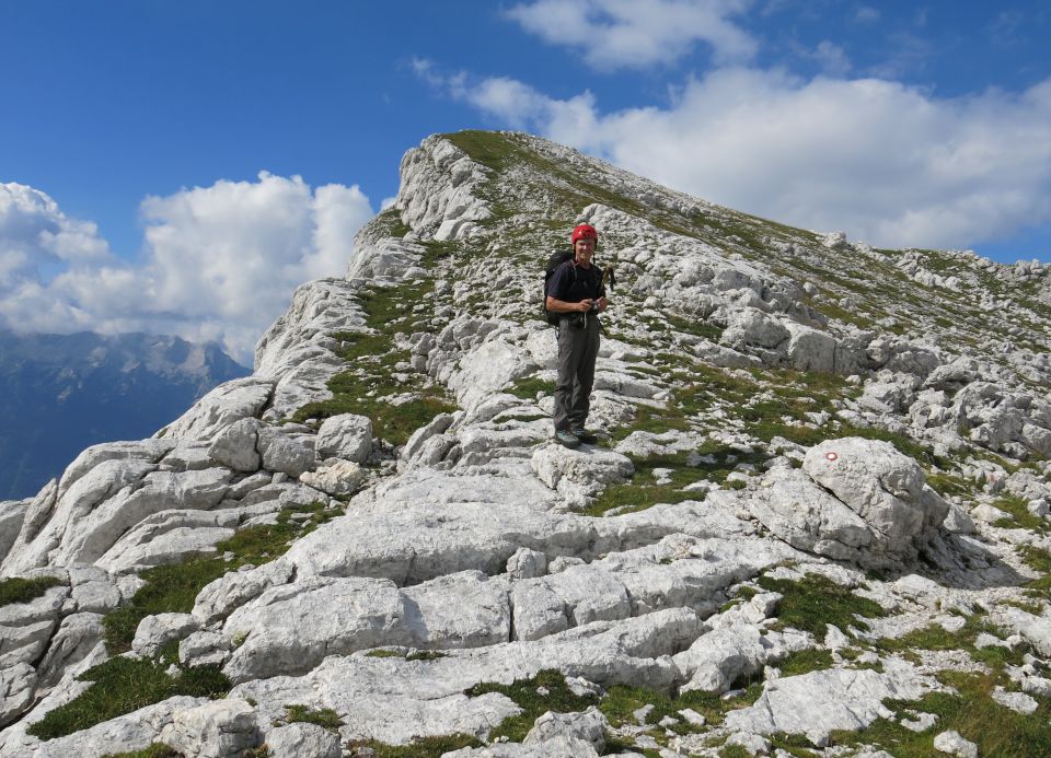 Lepošpič., m.Tič.,Rušnata g.,Blato 5.08.15 - foto povečava