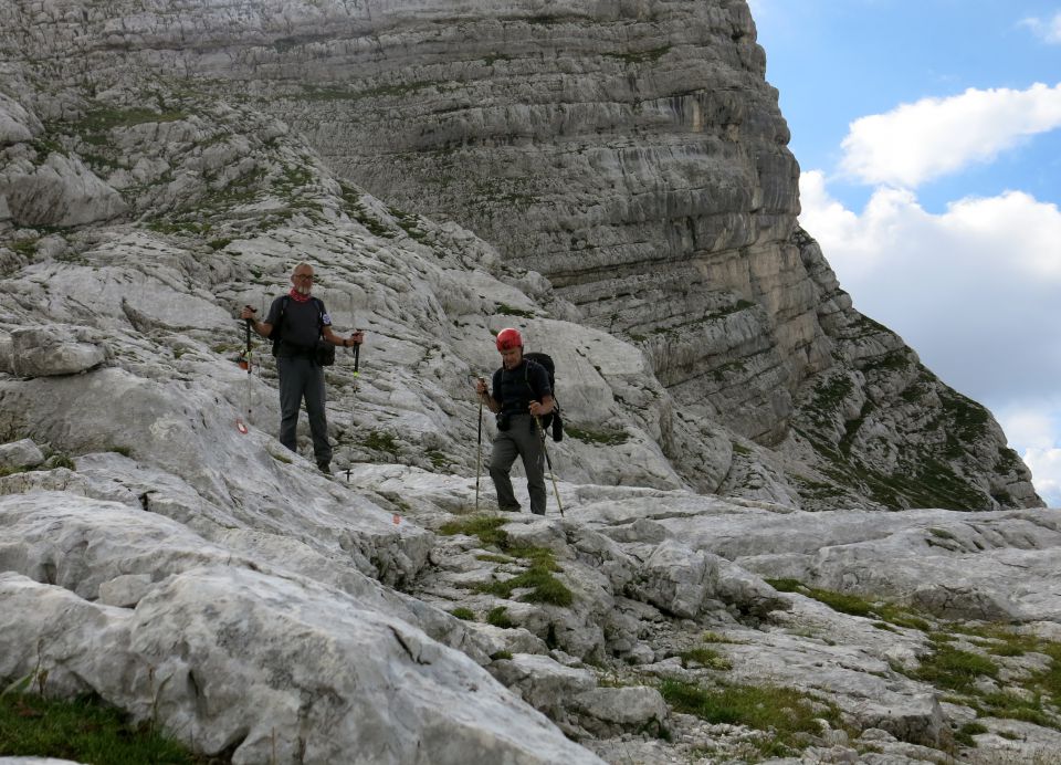 Lepošpič., m.Tič.,Rušnata g.,Blato 5.08.15 - foto povečava