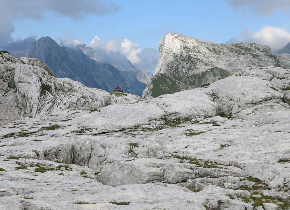 Lepošpič., m.Tič.,Rušnata g.,Blato 5.08.15 - foto povečava