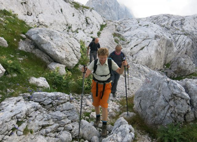 Lepošpič., m.Tič.,Rušnata g.,Blato 5.08.15 - foto