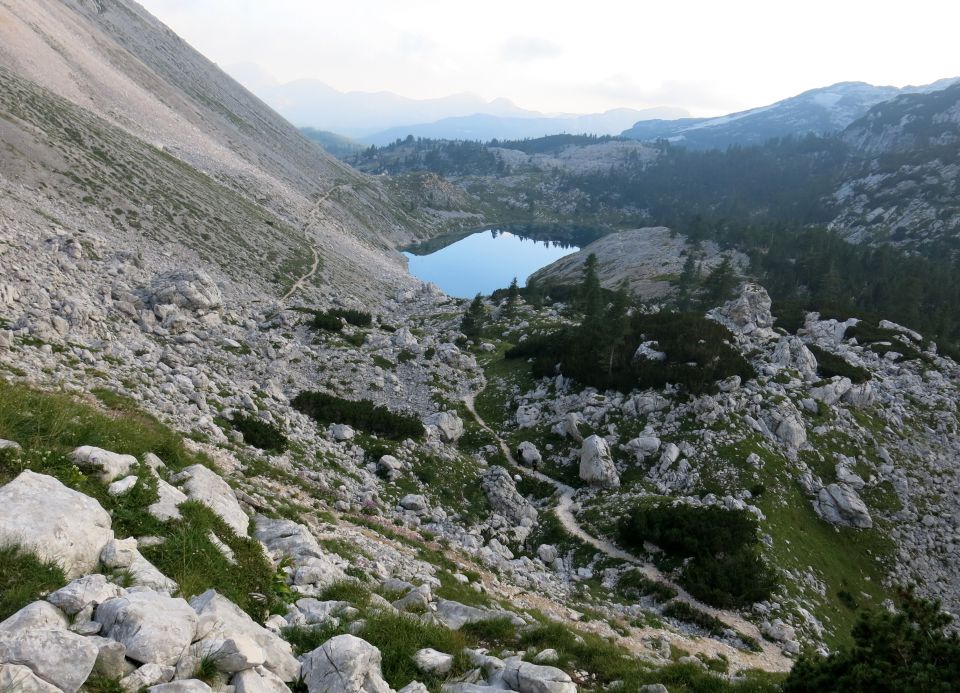 Lepošpič., m.Tič.,Rušnata g.,Blato 5.08.15 - foto povečava