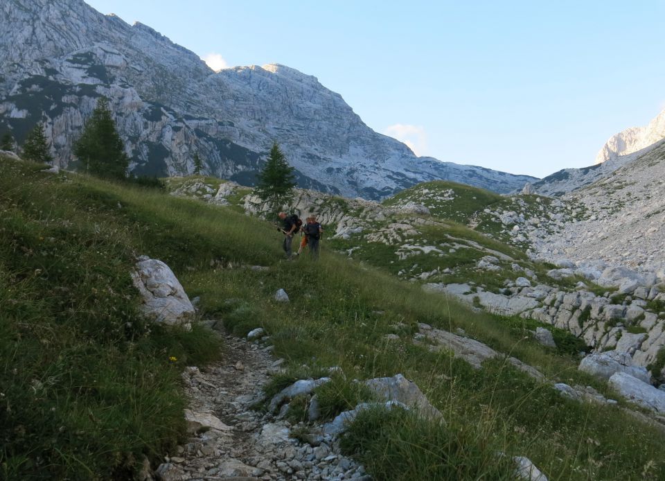 Lepošpič., m.Tič.,Rušnata g.,Blato 5.08.15 - foto povečava