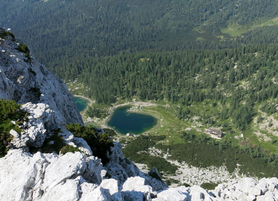 Lepošpič., m.Tič.,Rušnata g.,Blato 5.08.15 - foto povečava