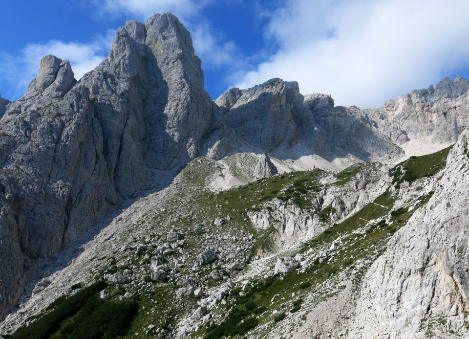 Mala lojtrca, 22.08.2015 - foto povečava