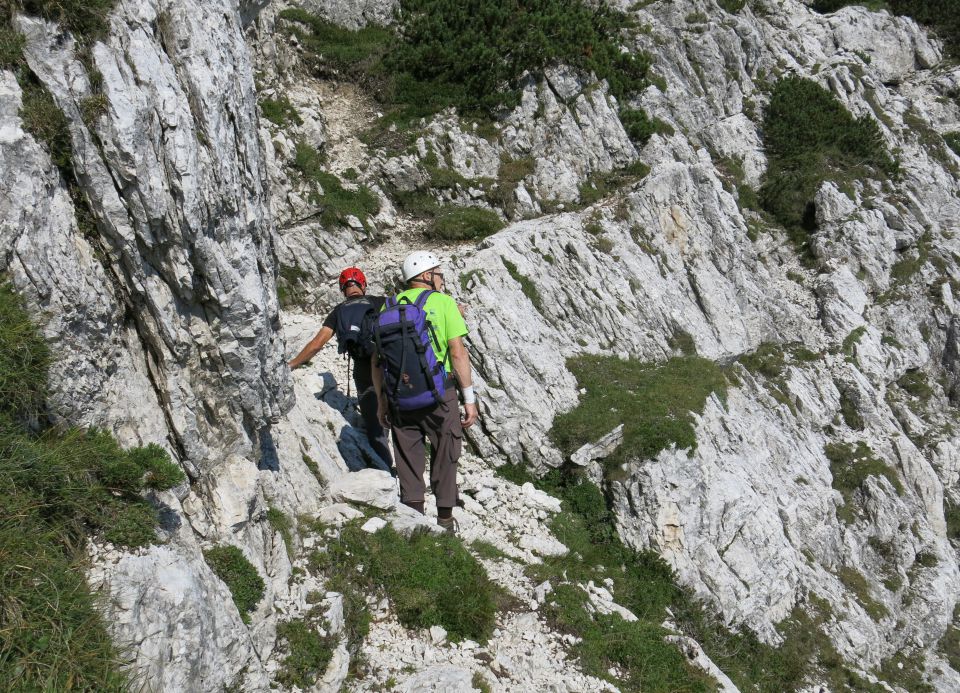 Mala lojtrca, 22.08.2015 - foto povečava