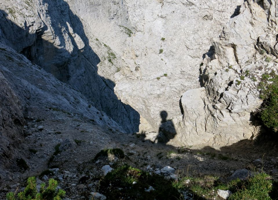 Mala lojtrca, 22.08.2015 - foto povečava