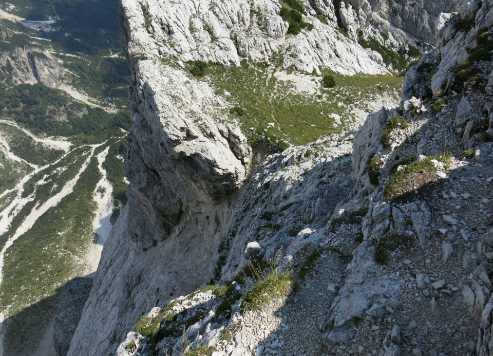 Mala lojtrca, 22.08.2015 - foto povečava