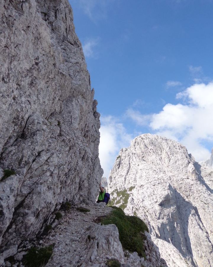 Mala lojtrca, 22.08.2015 - foto povečava