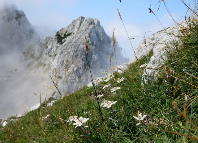 Zelenica - Palec, 26.08.2015 - foto