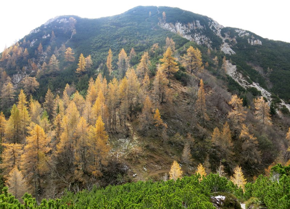 Srednji vrh nad Zelenico 18.10.15 - foto povečava