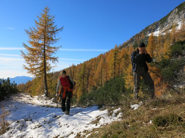 Okrog blejske koče,  21.10.15 - foto