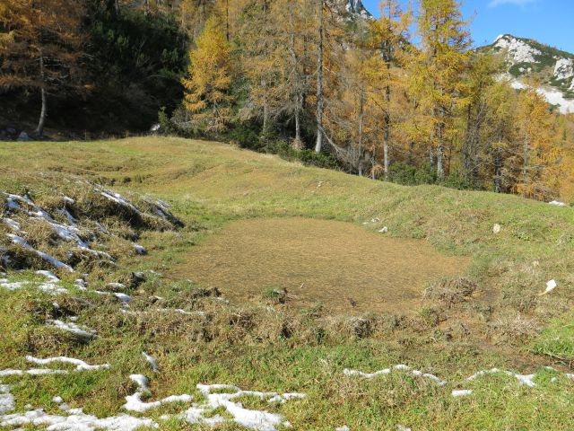 Okrog blejske koče,  21.10.15 - foto