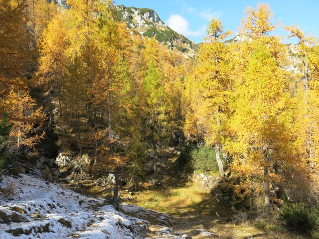 Okrog blejske koče,  21.10.15 - foto