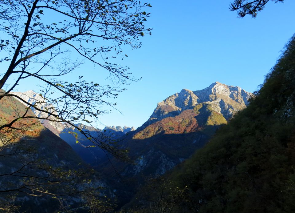 SVINJAK, 26.10.2015 - foto povečava