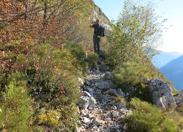 SVINJAK, 26.10.2015 - foto