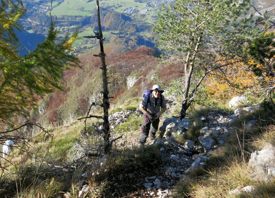 SVINJAK, 26.10.2015 - foto povečava