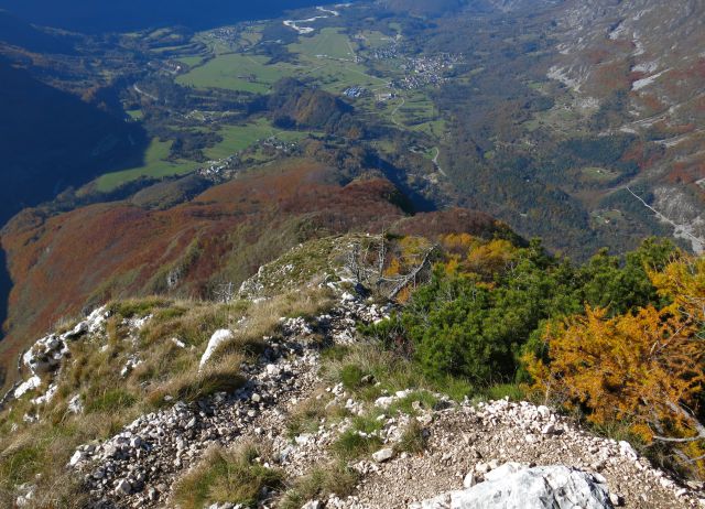 SVINJAK, 26.10.2015 - foto