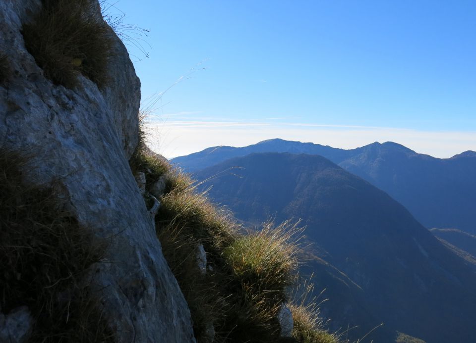 SVINJAK, 26.10.2015 - foto povečava