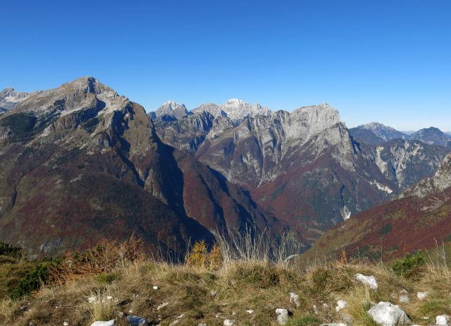 SVINJAK, 26.10.2015 - foto