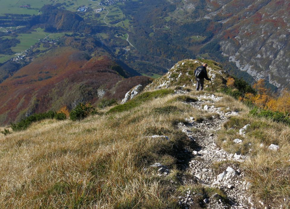 SVINJAK, 26.10.2015 - foto povečava