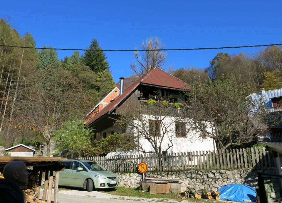 SVINJAK, 26.10.2015 - foto povečava