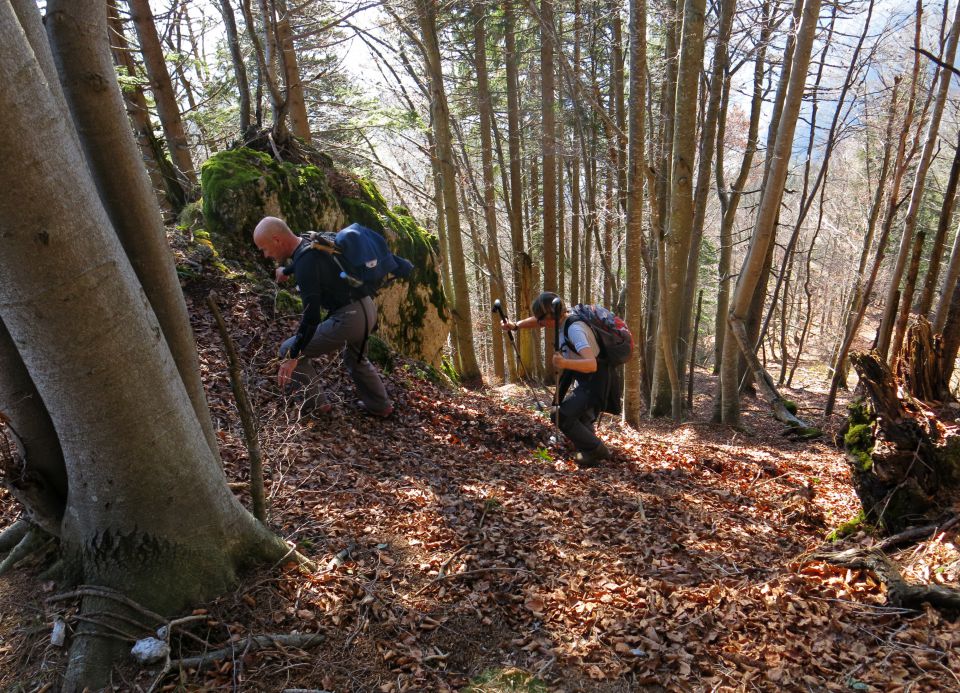 Ratitovec - grebenska,  31.10.2015 - foto povečava