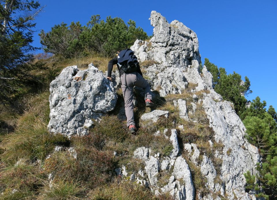 Ratitovec - grebenska,  31.10.2015 - foto povečava