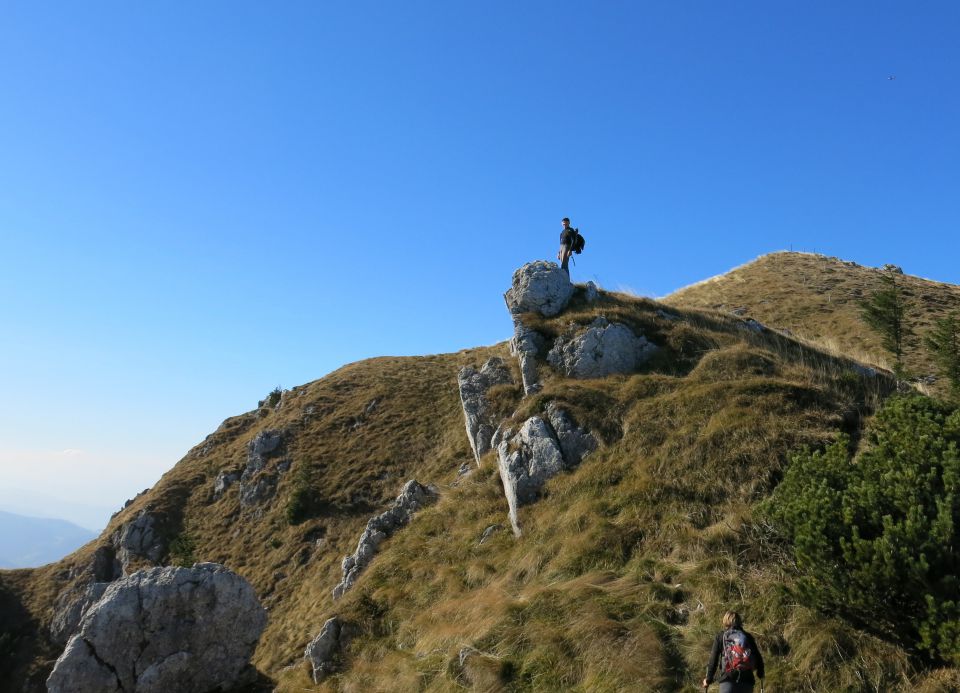 Ratitovec - grebenska,  31.10.2015 - foto povečava