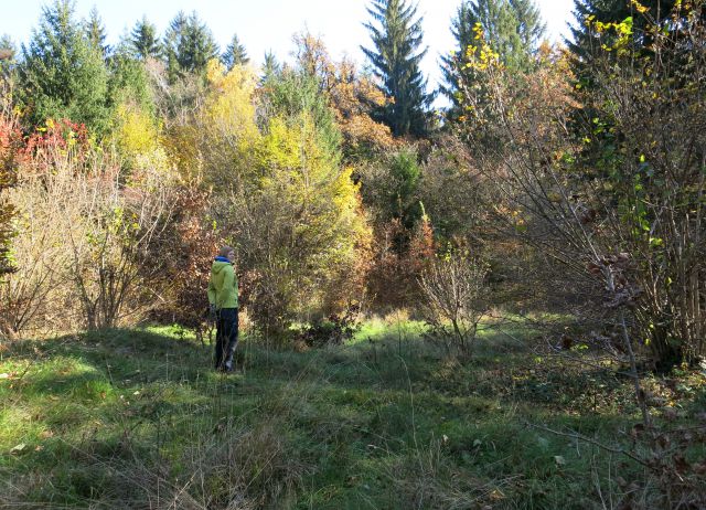 Škrilje 2015 - foto