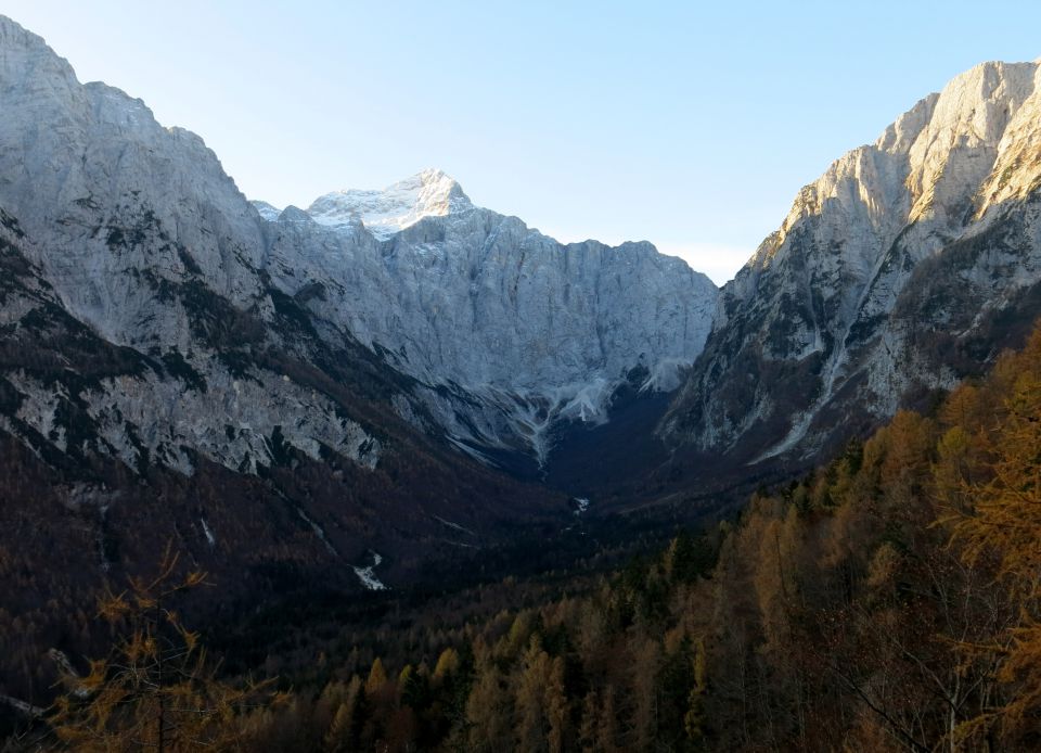 Šplevta,  04.11.2015 - foto povečava