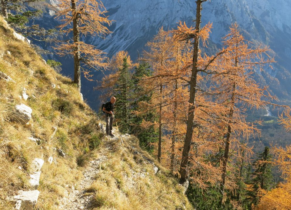 Šplevta,  04.11.2015 - foto povečava