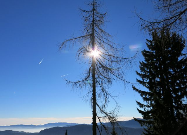 DOVŠKA BABA - 18.11.2015 - foto