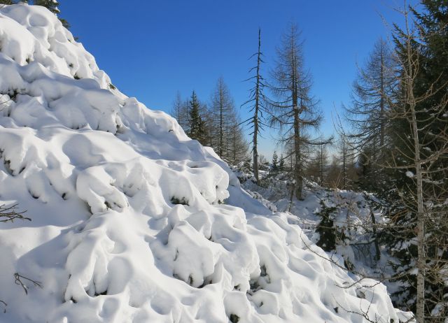 Blejska s Silvo, 22.11.2015 - foto