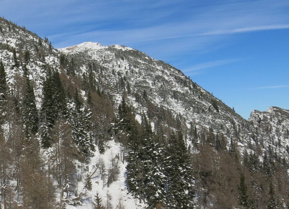 Blejska s Silvo, 22.11.2015 - foto povečava