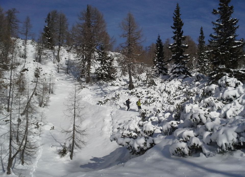 Blejska s Silvo, 22.11.2015 - foto povečava