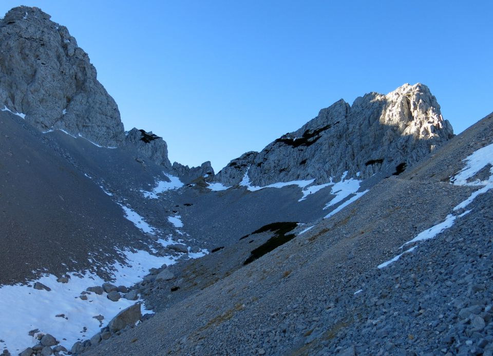 Suho rušJe  25.12.2015 - foto povečava