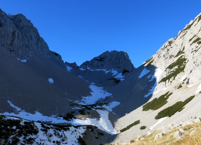 Suho rušJe  25.12.2015 - foto