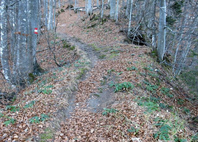 Ljubeljska baba   27.12.2015 - foto