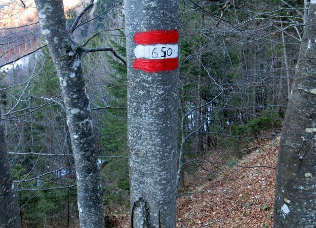 Ljubeljska baba   27.12.2015 - foto