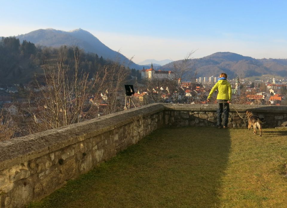 Obisk na hribcu  31.12.2015 - foto povečava