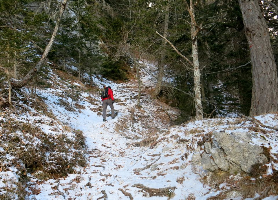 KOFCE iz Doline čez Kal, 16.01.2016 - foto povečava