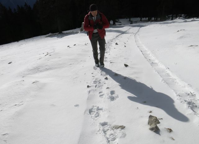 KOFCE iz Doline čez Kal, 16.01.2016 - foto