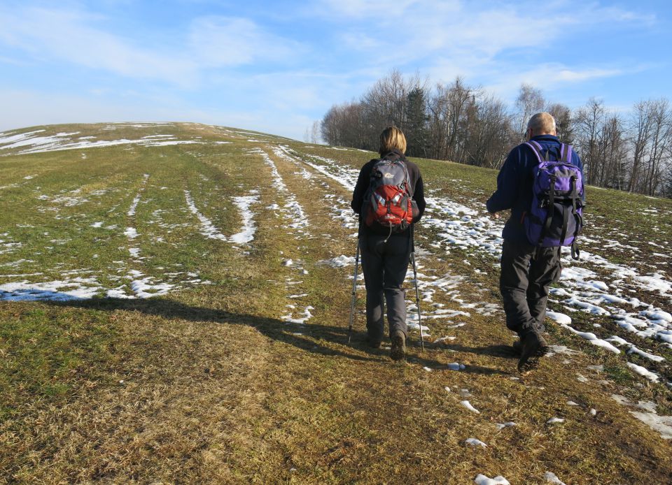 Pasja ravan,  27.01.2016 - foto povečava