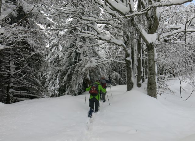 Star ljubelj, 19.02.2016 - foto